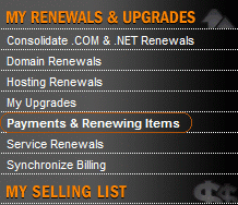 godaddy options