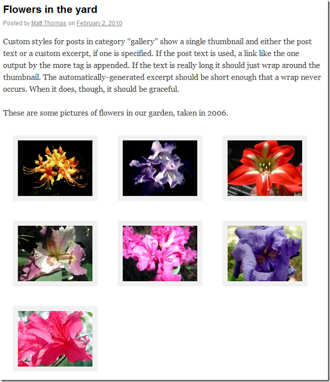 wptheme6
